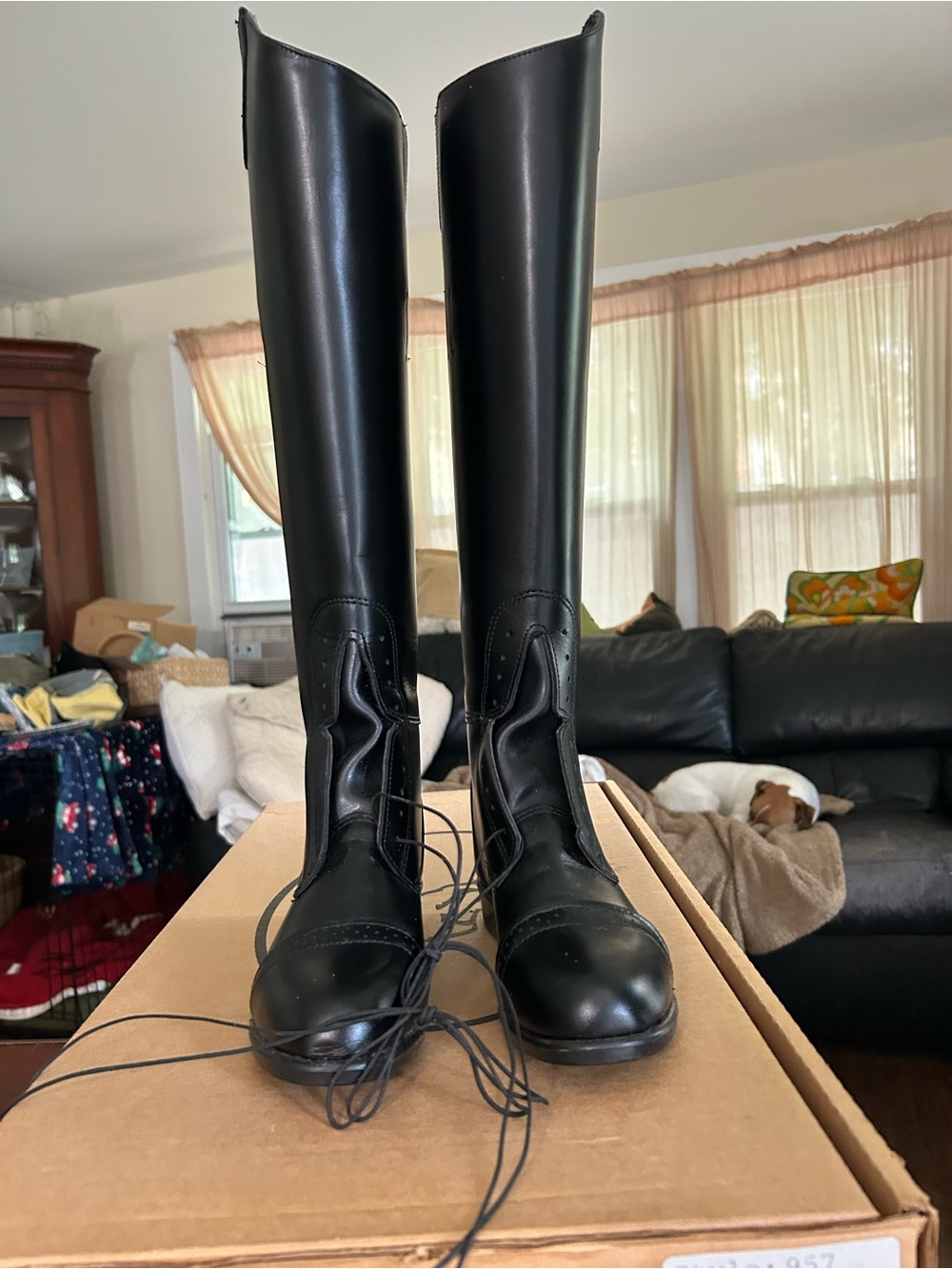 NWT Devon Aire Black Tall Lace-Up Riding Boots - Women's 10R, pull on, no zipper